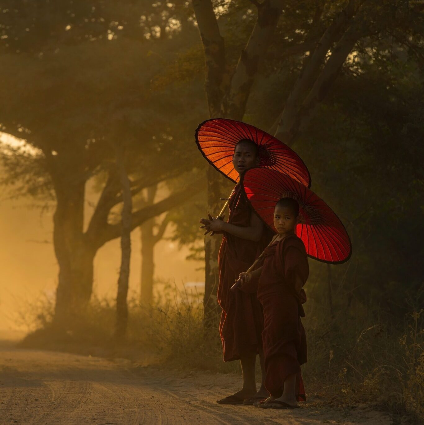 Buddhist monks with orange umbrellas in a misty (smog?) green