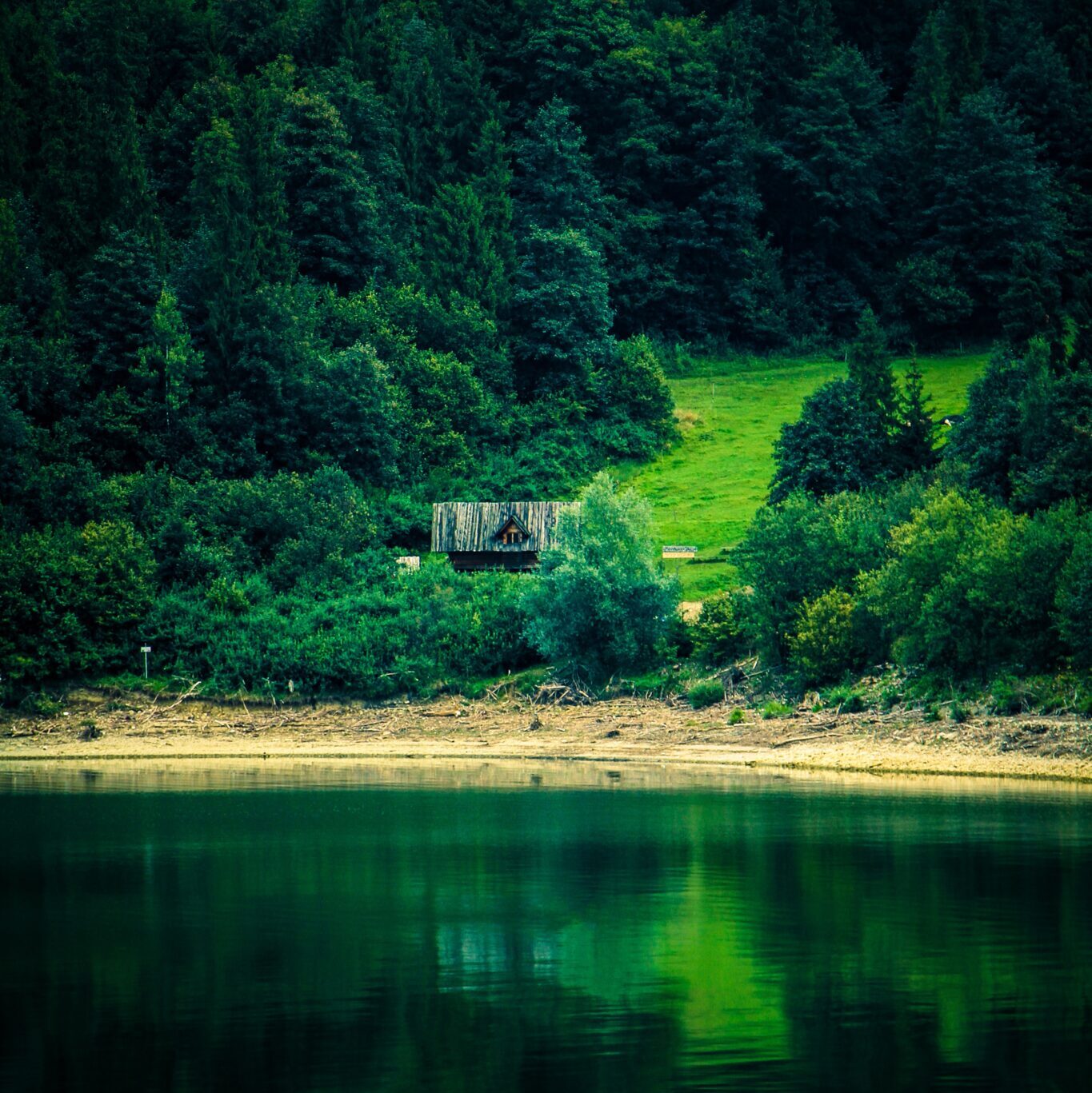 a wooden hut by a lake and a forest