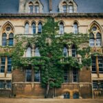 ecorative - an Oxford building facade with a tree growing almost with the wall and between windows