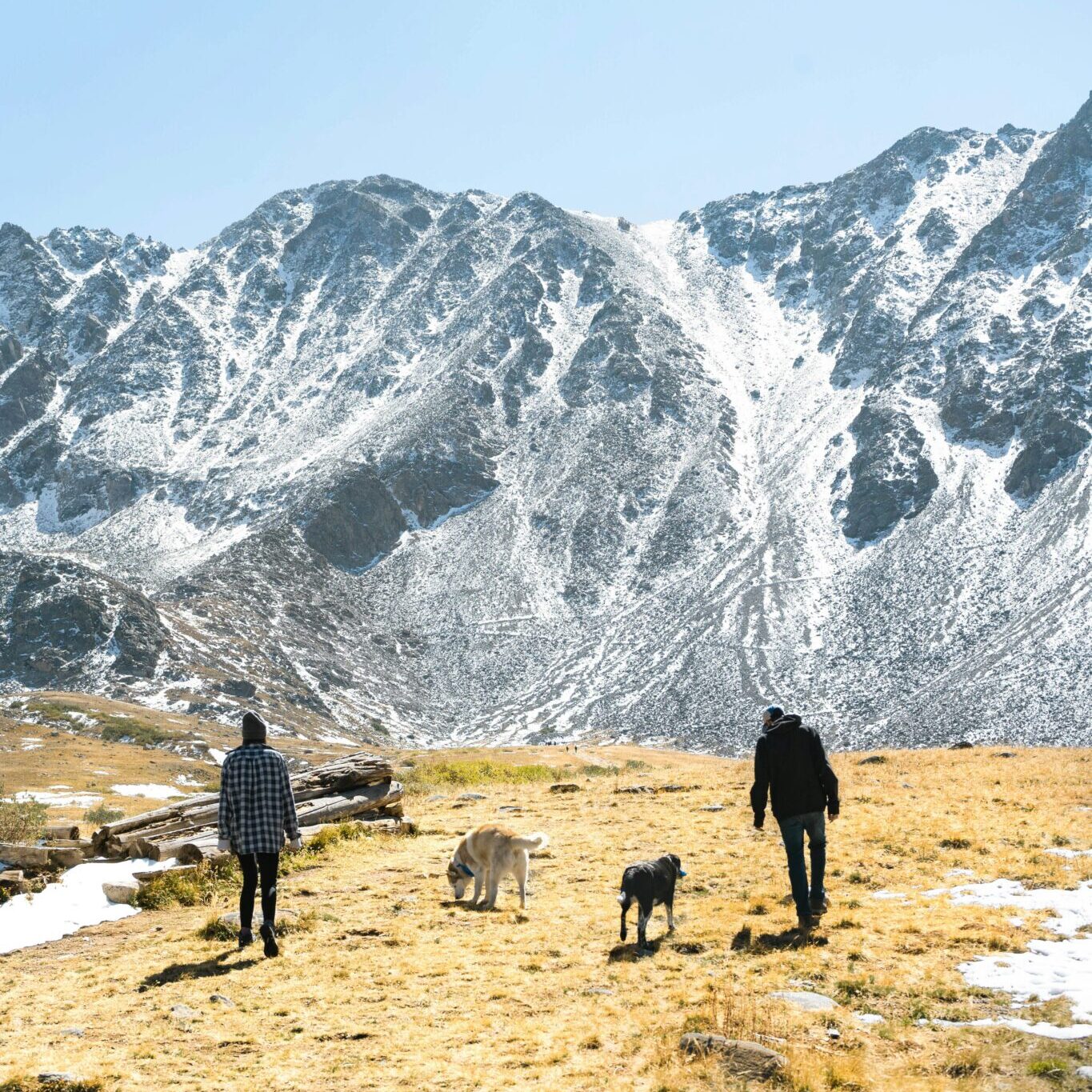People mountain hiking with dogs